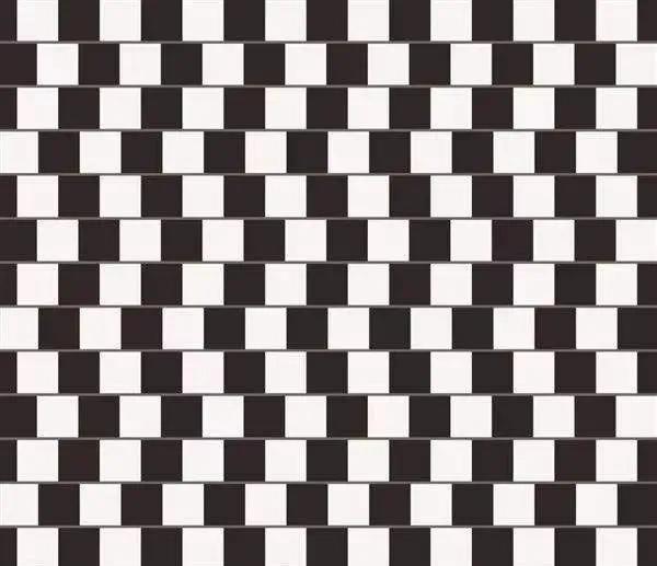 黑白方块之间的灰线似乎被弯曲了,但实际上它们是平行.