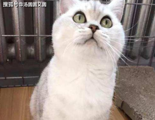 3ff21c63d73849578a1635221659eb14.png