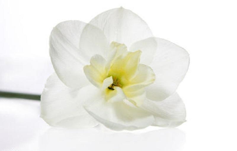 2020年美业gdp_2020年美国gdp预计