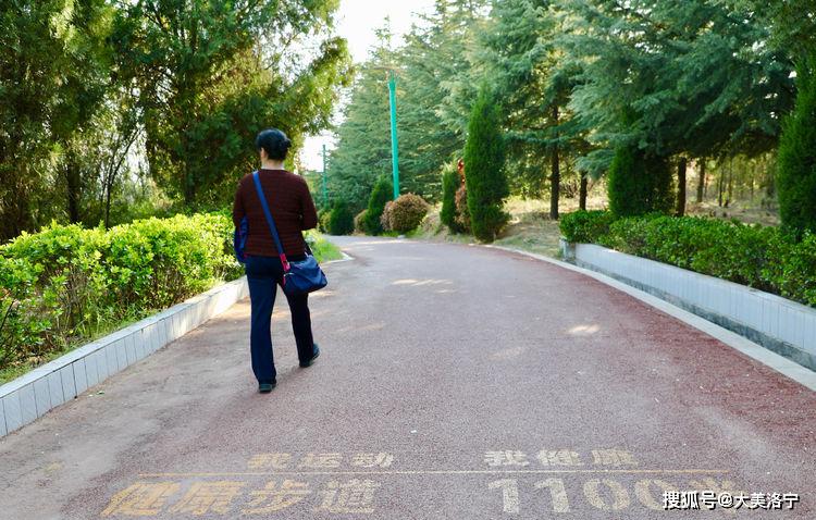 洛宁县城印象(图98)