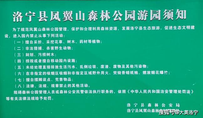 洛宁县城印象(图55)