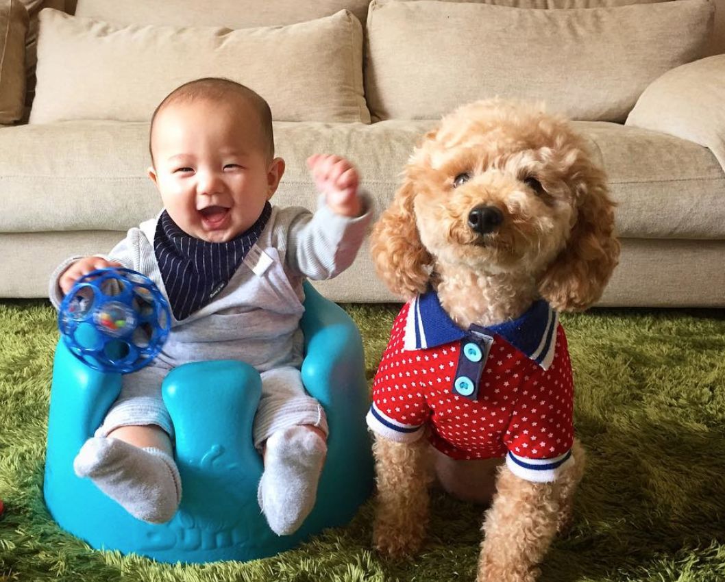 一张床一个女孩斗牛猜成语_黄渤斗牛图片(2)