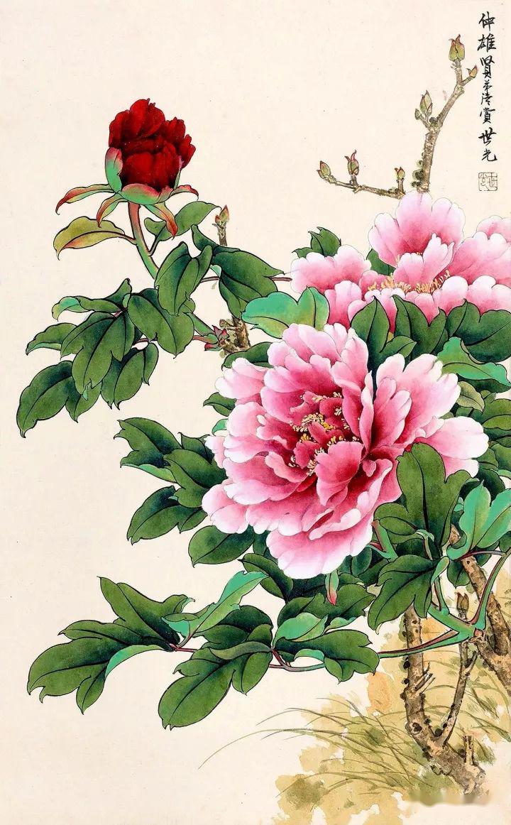 6,田世光画牡丹 田世光(1916-1999,号公炜,现代工笔花鸟画名家,他