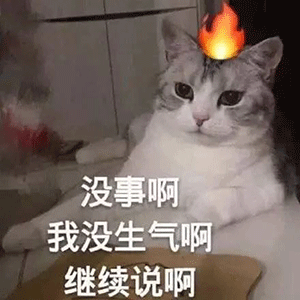 表情包 | 喜欢我吧,求你了