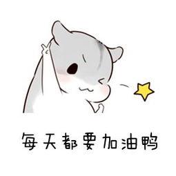 『大学』抢先看！学考大学录取通知书来袭！请注意签收！