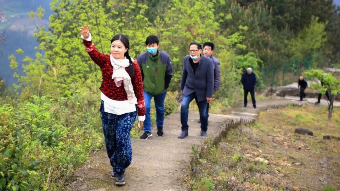 最美人间四月到麓园——云阳县平安镇麓园游记