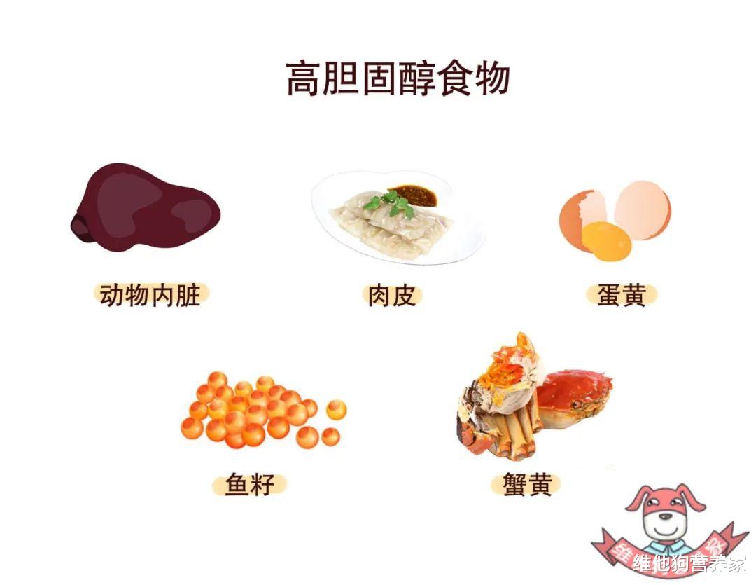 高热量食物的存在有什么意义 a34dac25d85e44bb91094712ee9981be.jpeg