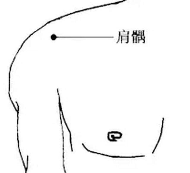 肩贞穴:可通经活络,主治肩胛疼痛,手臂不举及肩关节周围炎等病.