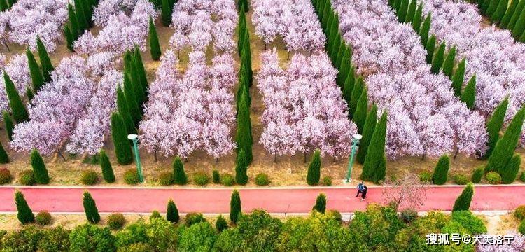 洛宁县城印象(图140)