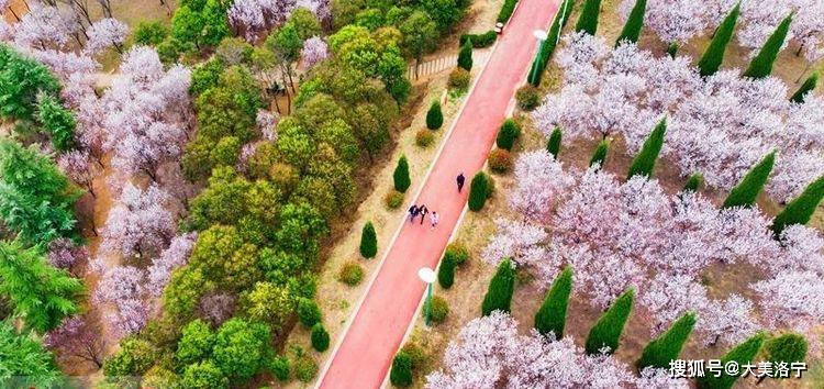 洛宁县城印象(图143)
