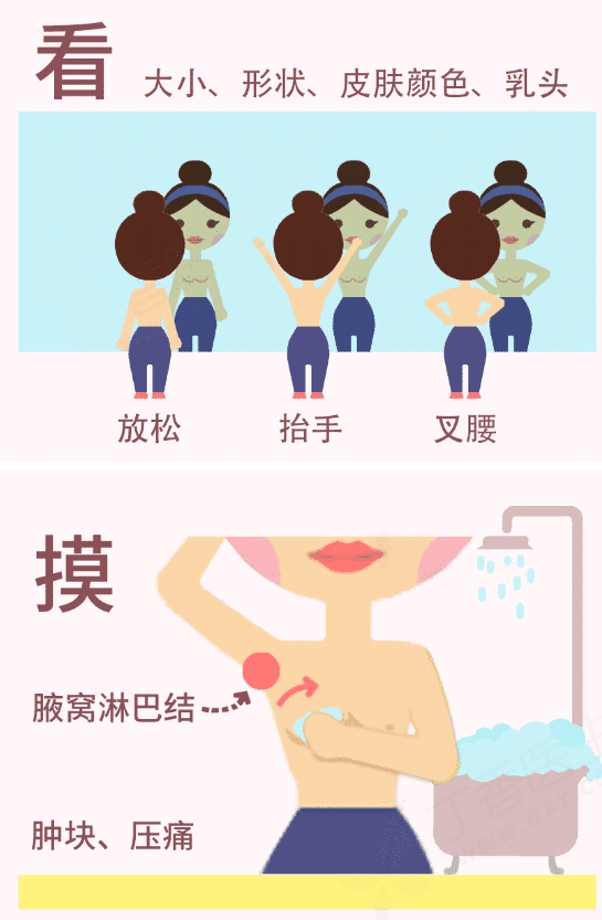 乳房下垂与哺乳有关?关于乳房必看的几个真相