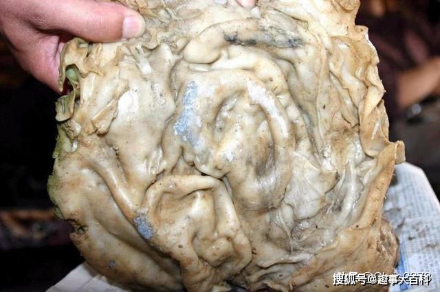 太岁是什么生物?科学家称它违背自然规律,它还能生长多久?