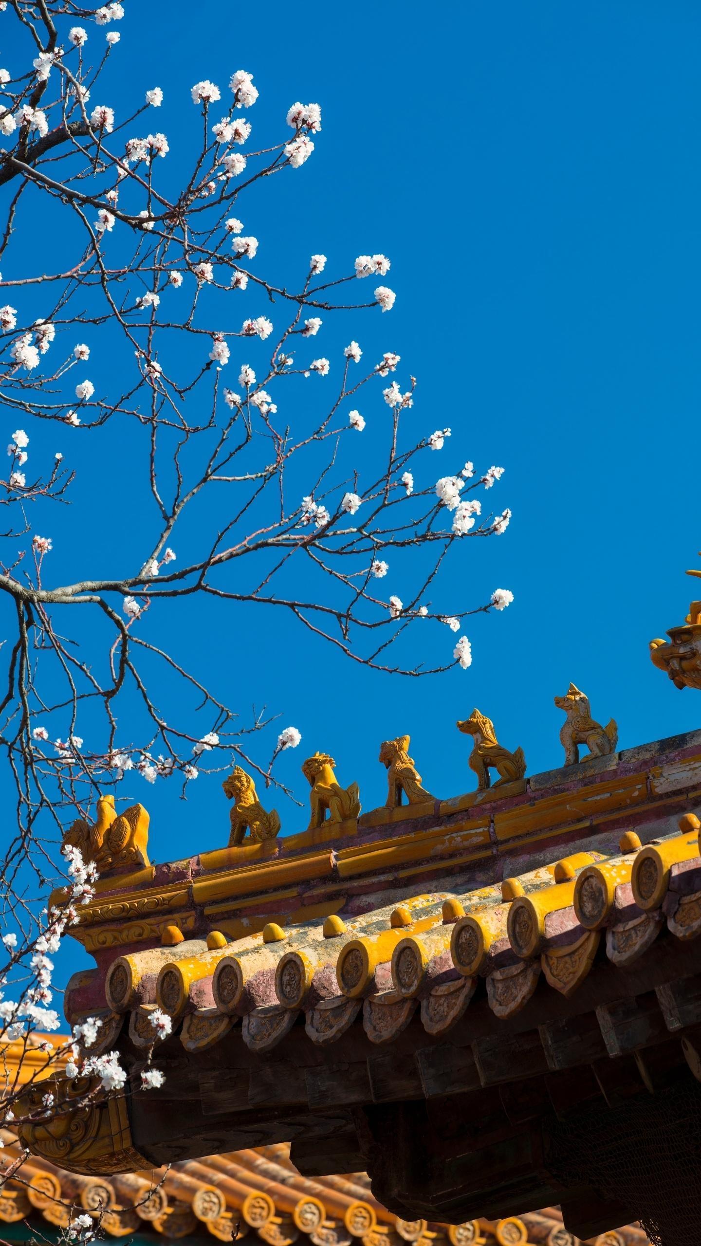 虎钤经原文和译文-北宋许洞