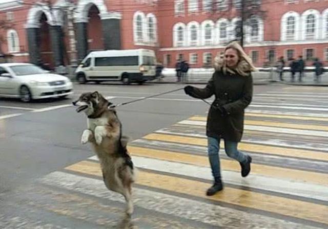 刚学会走路就跳霹雳舞猜一成语_木猜一成语疯狂看图(2)