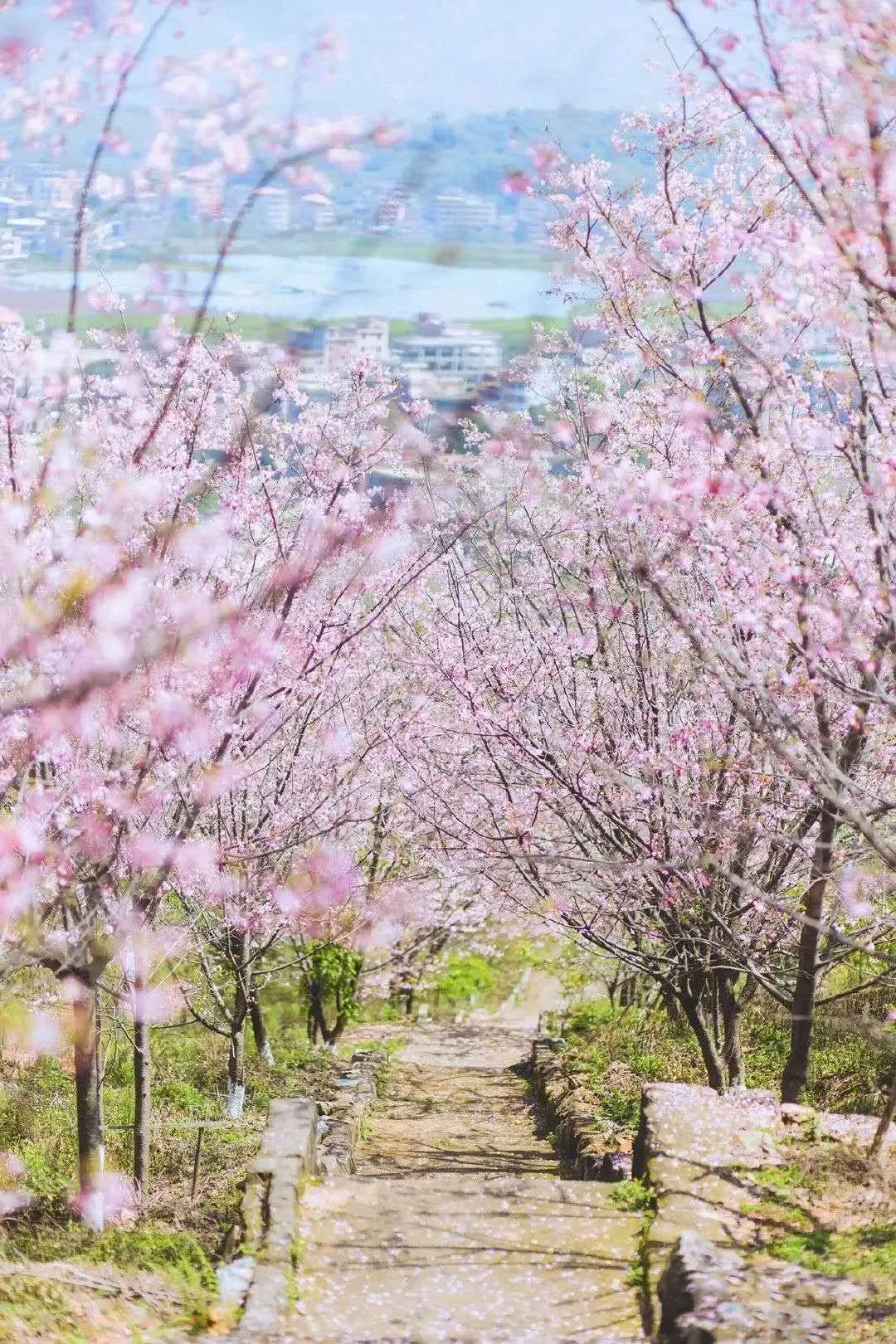 南安英都镇良山村,南安梅山镇,南安霞美镇_大山谷图库