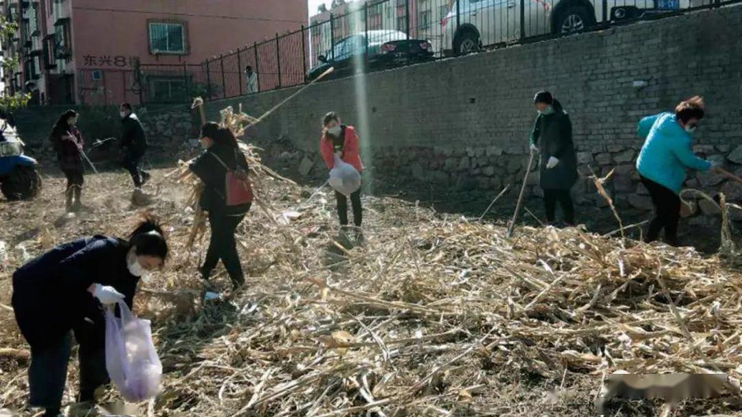 古冶区开展集中劳动整治城乡环境