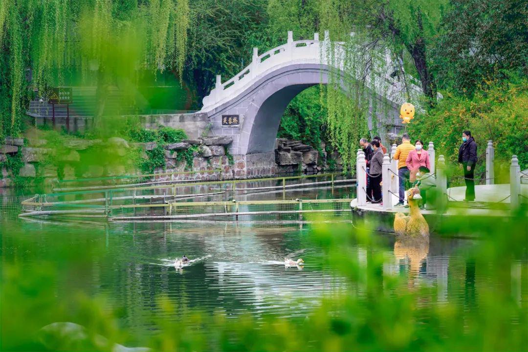 现在真的是好时光 许昌的春天,离不开花 西湖公园人头攒动 一朵一朵的