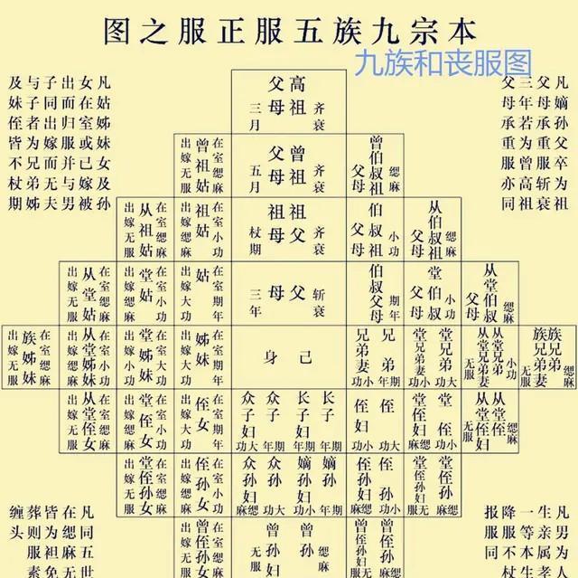 为什么说"出了五服不是亲戚"?五服是什么?