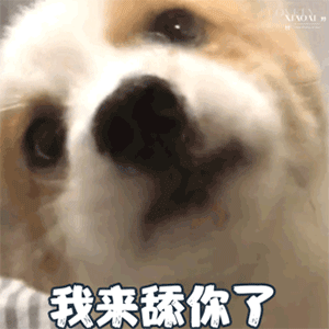 表情包 | 喜欢我吧,求你了