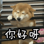明星老师与你相约西语文化云讲堂