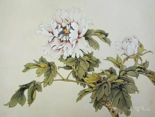 中国工笔画《荣宝斋花卉画谱》珍藏版!