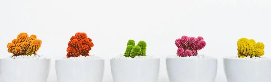 我的公务员丈夫,拍桌子辞职后,差点活成废物