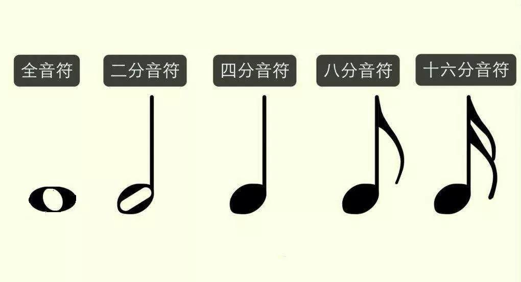 音符有以下几种:全音符,二分音符,四分音符,八分音符,十六分音符,三