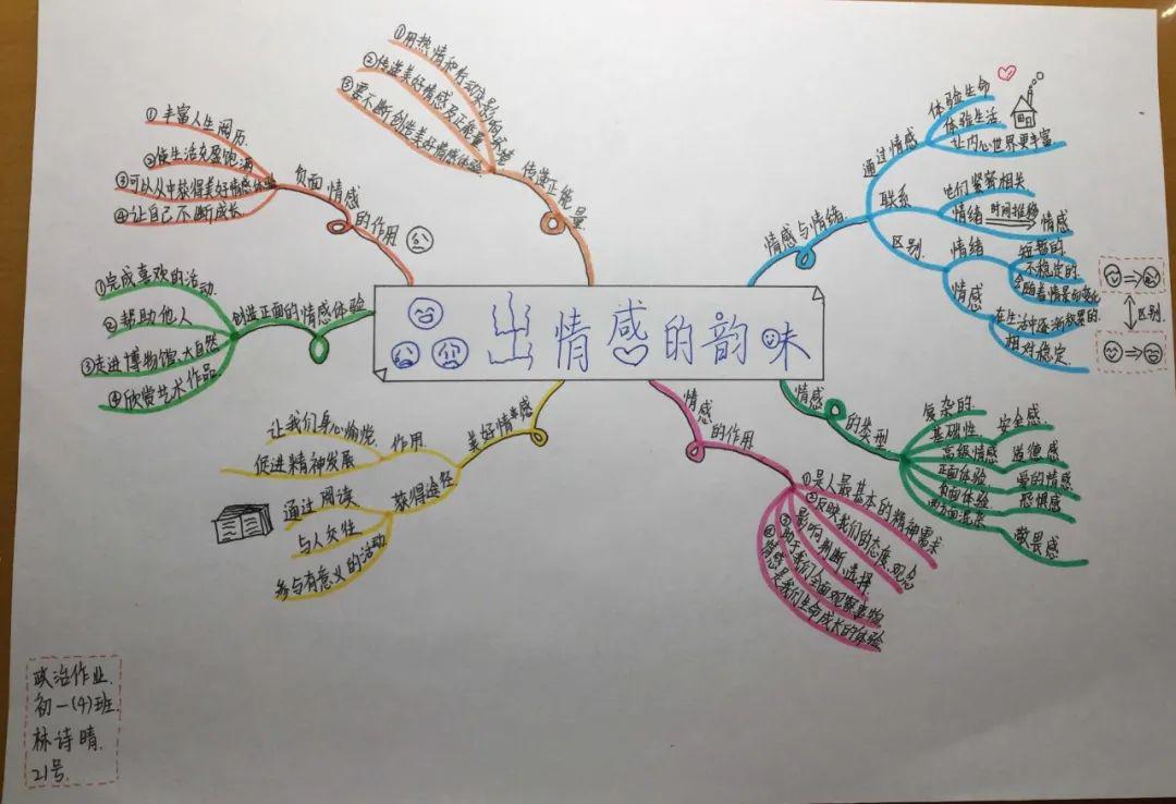 用"心"战"疫" 妙笔生花——晋安校区梦之队,龙之队政治组思维导图展