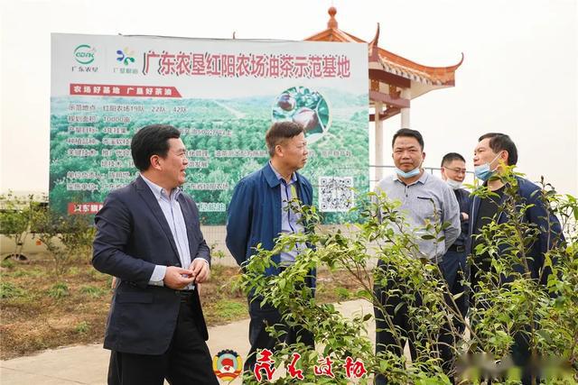 刘芳到茂名农垦调研垦区经济社会发展情况