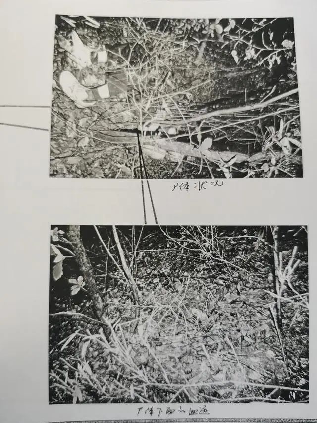 广西男子26年前在浙江抢劫杀人,在深圳落网已成