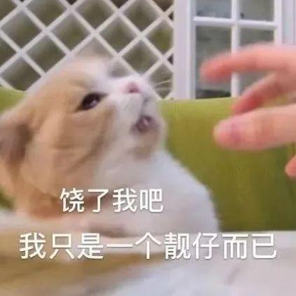 23dbc494e55440adb6c327b1cad3fbfe.jpeg