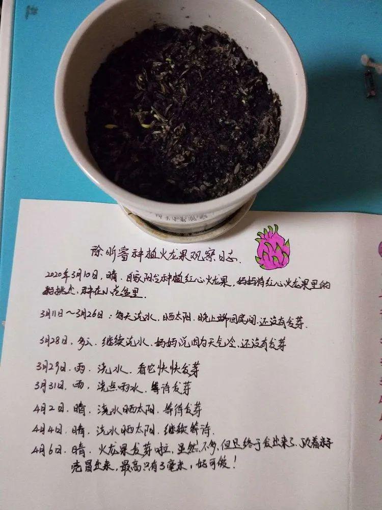 春种一粒籽——播种希望,呵护成长