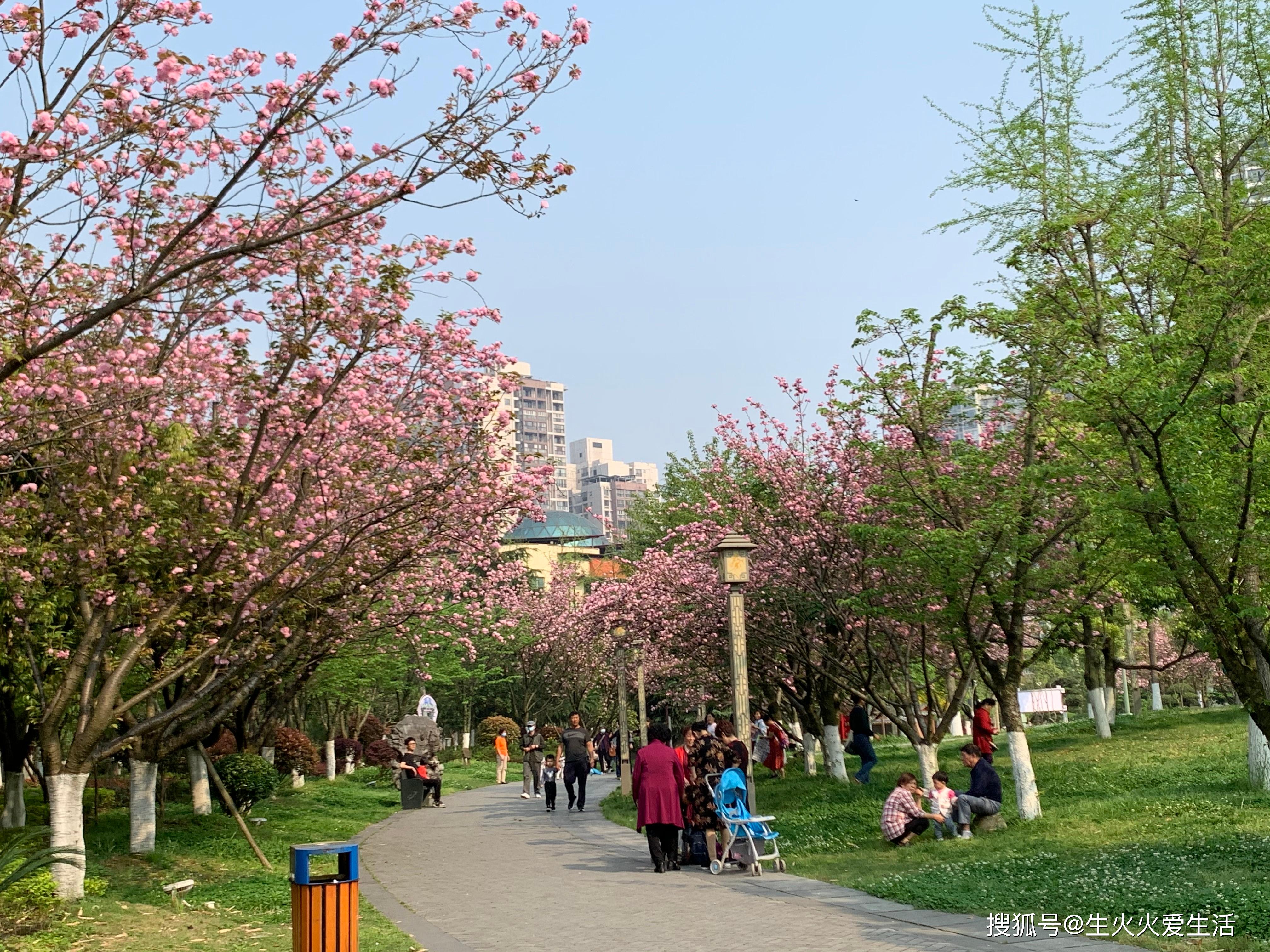 春天里的公园,人们探春赏花