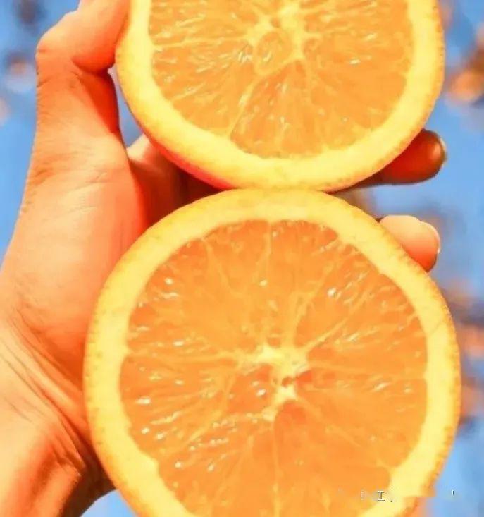活动目标: 了解橙子的结构,知道橙子不同切面的形状.