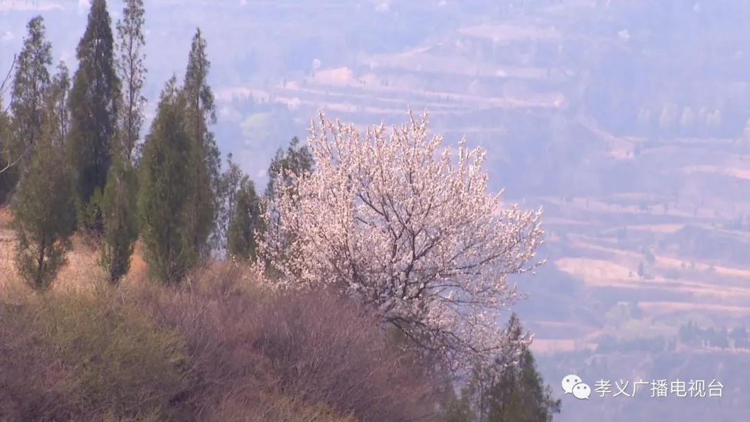 唐河县荆爬沟村人口由来_唐河县李岗顶村(2)