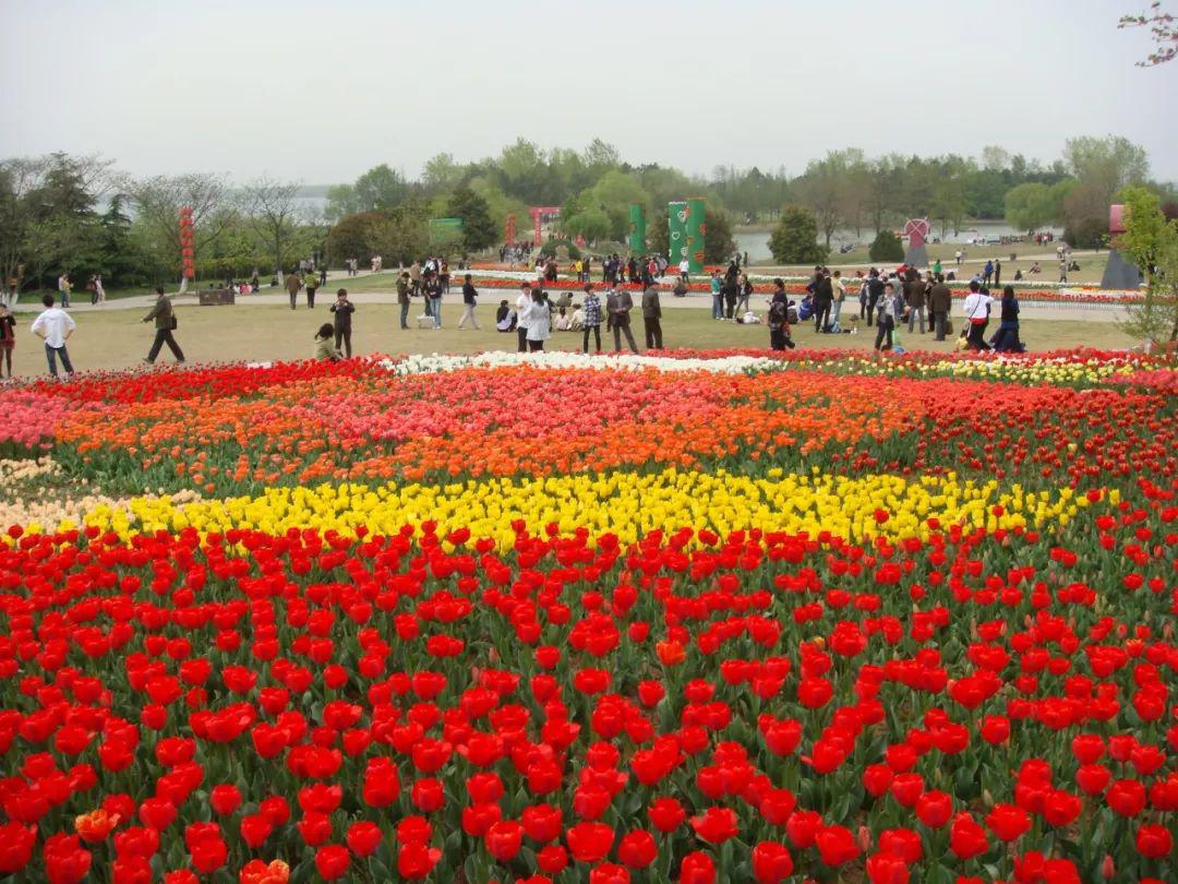 合肥植物园