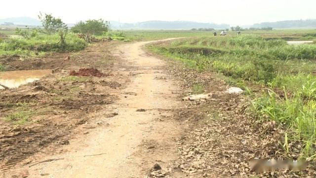 要致富先修路宾阳洋桥镇这条扶贫路修到村民的心坎上