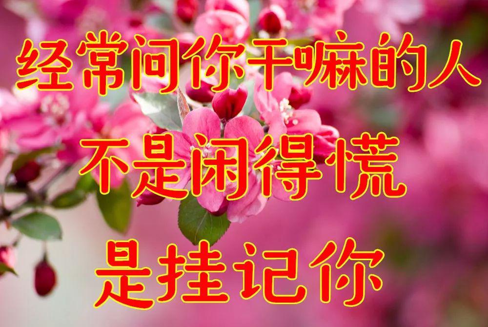 早上好,一曲《在春天想你》好美,送给想我的人!