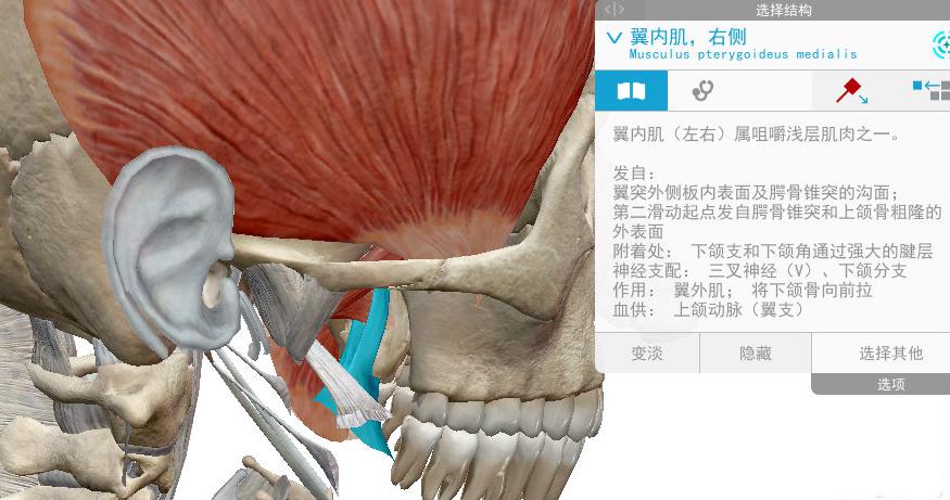 上颌骨疼痛是怎么办