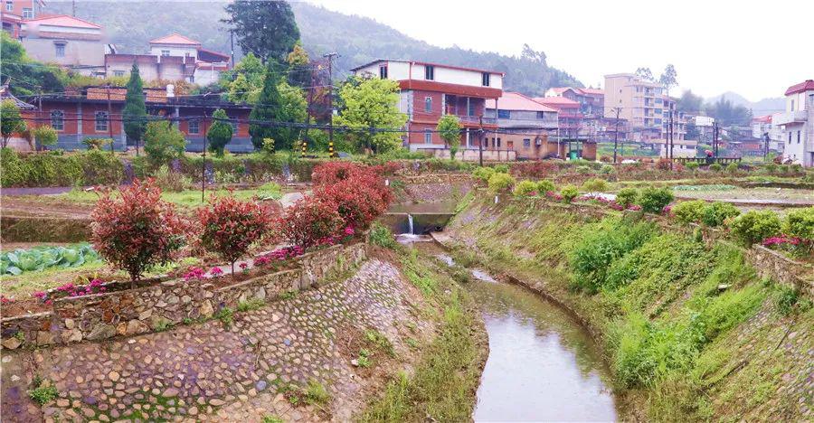 虹山乡,越来越"靓"了._苏山村