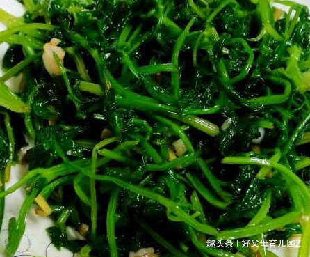 做什么菜用芝麻油 56d4d376214c462eb8a2869e1f11eab6.png