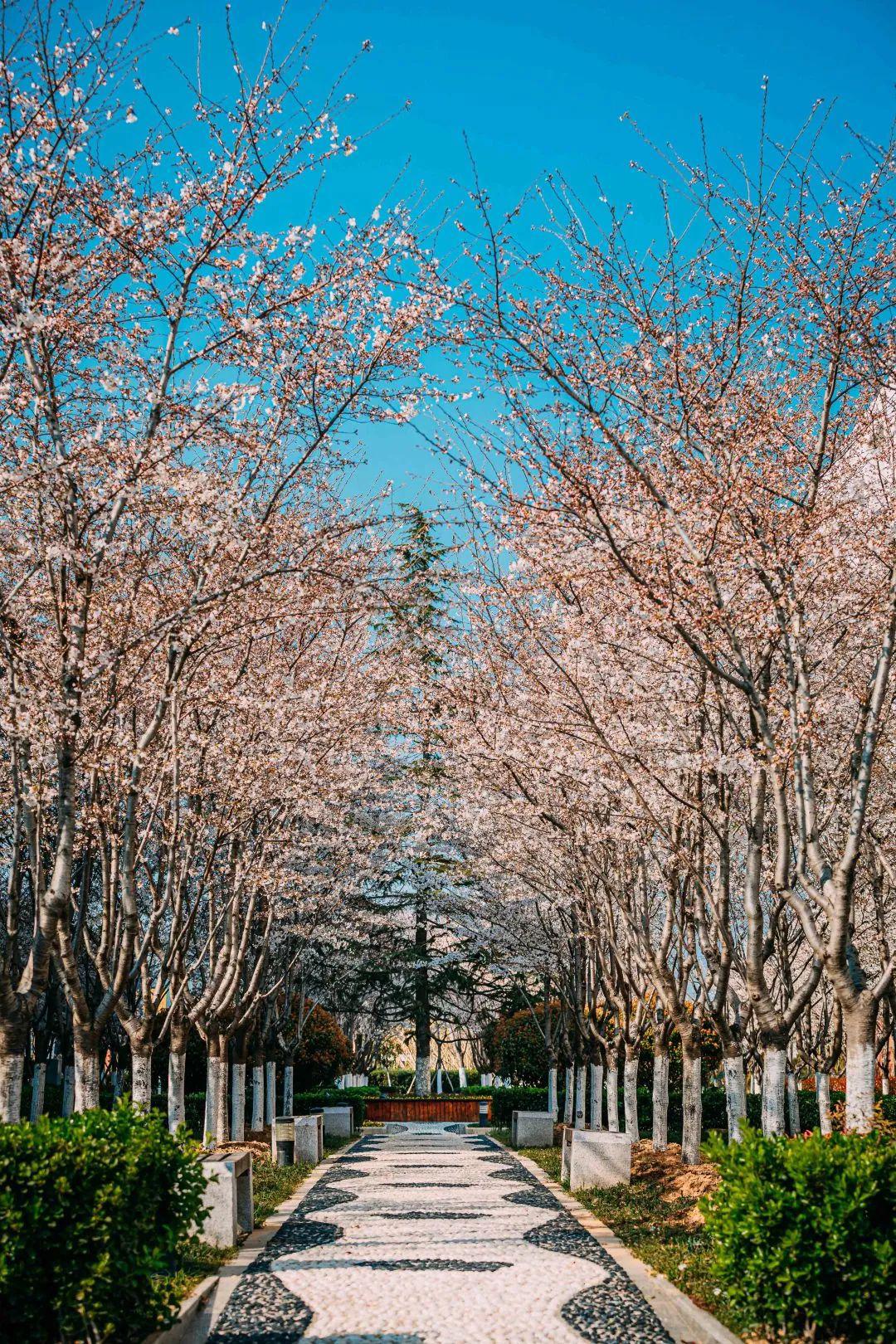 南京医科大学康达学院