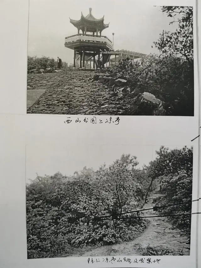 广西男子26年前在浙江抢劫杀人,在深圳落网已成