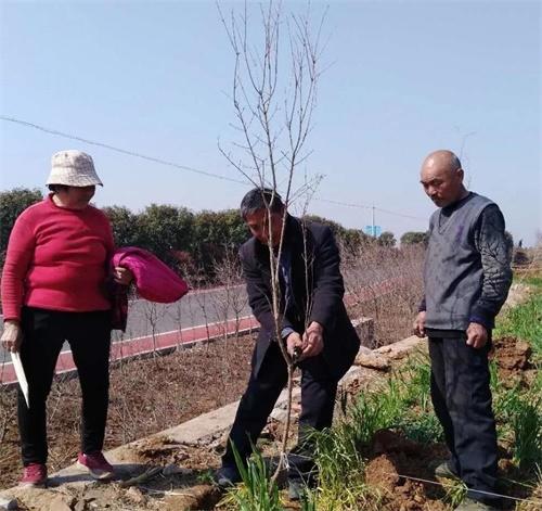 枣庄市峄城区榴园镇卜村人口_枣庄市峄城区图片