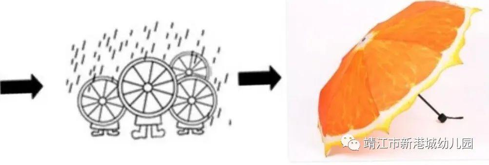 了解橙子的结构,知道橙子不同切面的形状.