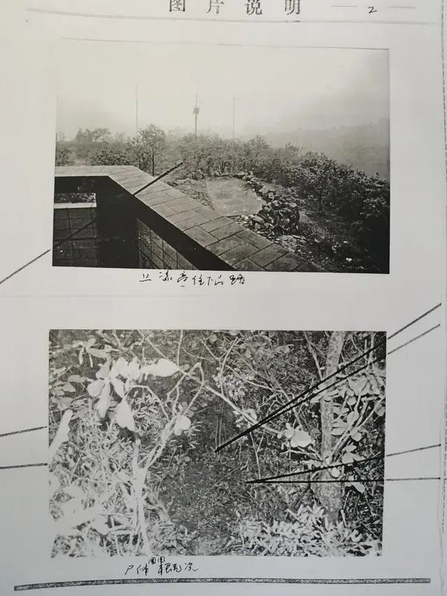 广西男子26年前在浙江抢劫杀人,在深圳落网已成