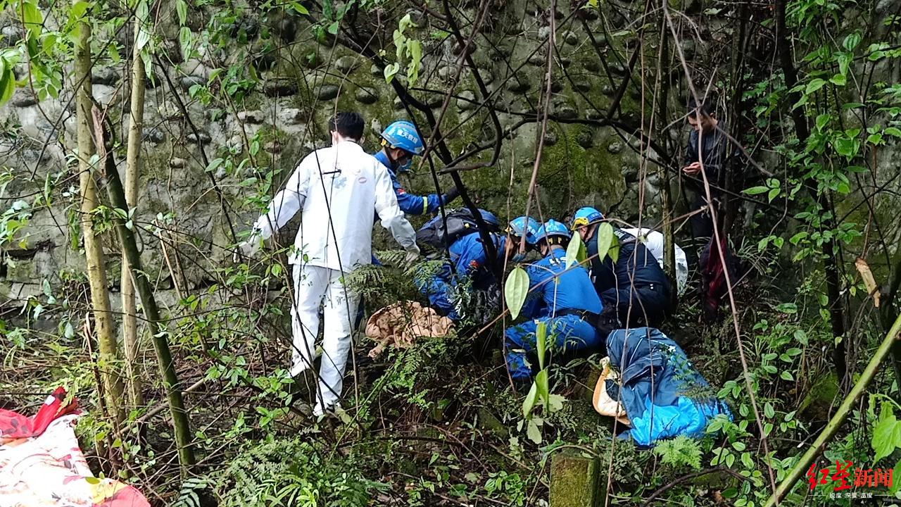 84岁婆婆都江堰景区外走失 万幸失联4天后在8米高