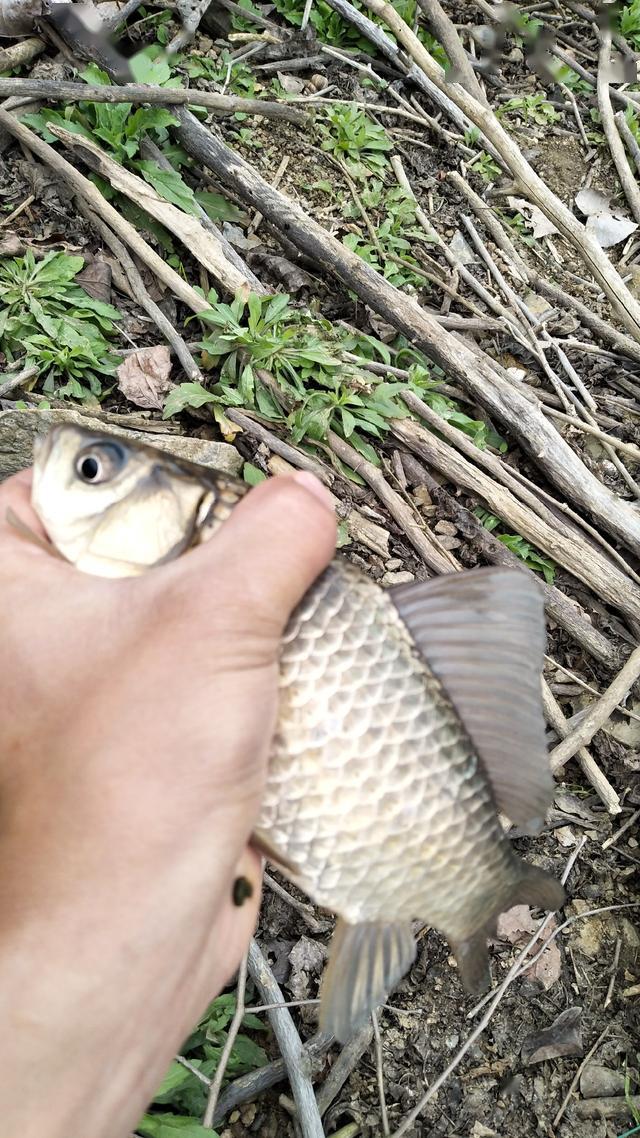 8f7499adab07474092ec9954c4cec104.jpeg