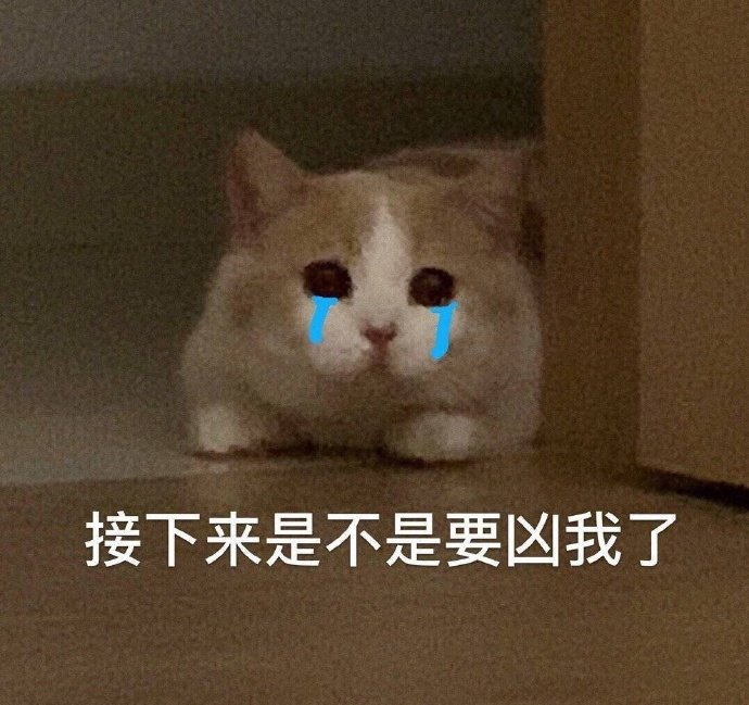 最新热门常用表情包图片:我瞧瞧,接下来是不是要凶我了