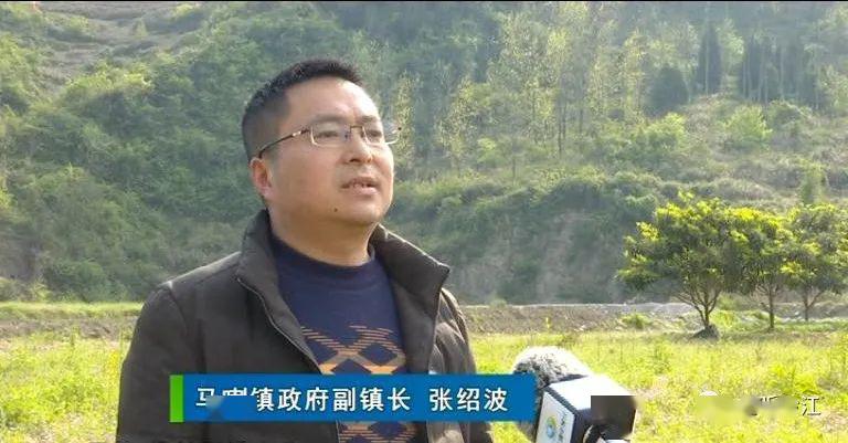 走基层61看发展系列报道黔江区马喇镇产业兴镇见实效乡村振兴有目标